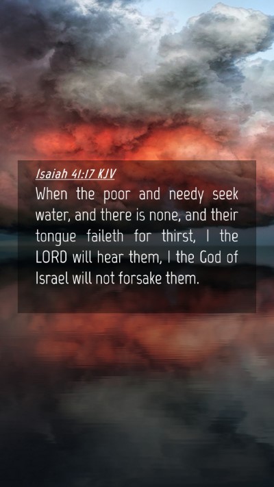 Picture 04 - Isaiah 41:17 KJV Mobile Phone Wallpaper - When the poor and needy seek water, and there is - Mobile Bible Verse Wallpaper
