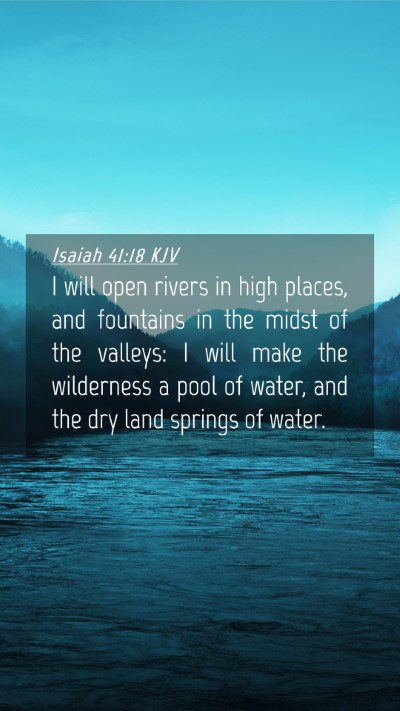 Picture 04 - Isaiah 41:18 KJV Mobile Phone Wallpaper - I will open rivers in high places, and fountains - Mobile Bible Verse Wallpaper