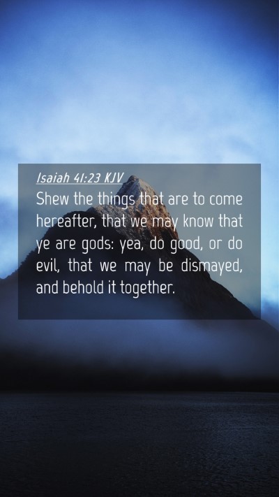 Picture 04 - Isaiah 41:23 KJV Mobile Phone Wallpaper - Shew the things that are to come hereafter, that - Mobile Bible Verse Wallpaper