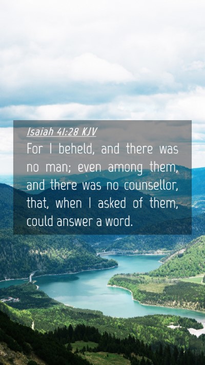 Picture 04 - Isaiah 41:28 KJV Mobile Phone Wallpaper - For I beheld, and there was no man; even among - Mobile Bible Verse Wallpaper