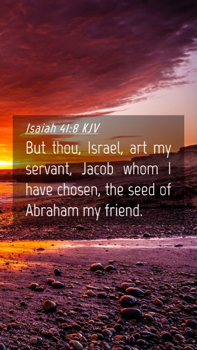 Picture 04 - Isaiah 41:8 KJV Mobile Phone Wallpaper - But thou, Israel, art my servant, Jacob whom I - Mobile Bible Verse Wallpaper