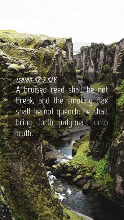 Picture 04 - Isaiah 42:3 KJV Mobile Phone Wallpaper - A bruised reed shall he not break, and the - Mobile Bible Verse Wallpaper