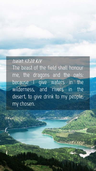 Picture 04 - Isaiah 43:20 KJV Mobile Phone Wallpaper - The beast of the field shall honour me, the - Mobile Bible Verse Wallpaper