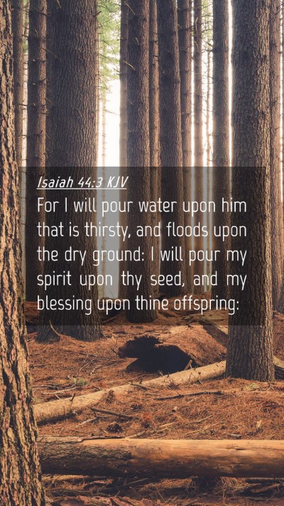Picture 04 - Isaiah 44:3 KJV Mobile Phone Wallpaper - For I will pour water upon him that is thirsty, - Mobile Bible Verse Wallpaper