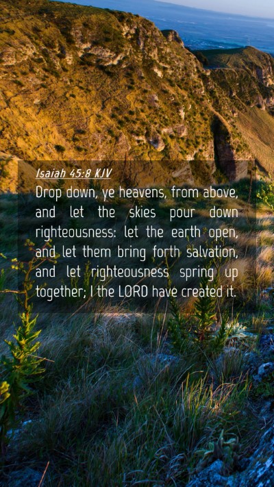 Picture 04 - Isaiah 45:8 KJV Mobile Phone Wallpaper - Drop down, ye heavens, from above, and let the - Mobile Bible Verse Wallpaper
