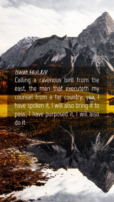 Picture 04 - Isaiah 46:11 KJV Mobile Phone Wallpaper - Calling a ravenous bird from the east, the man - Mobile Bible Verse Wallpaper