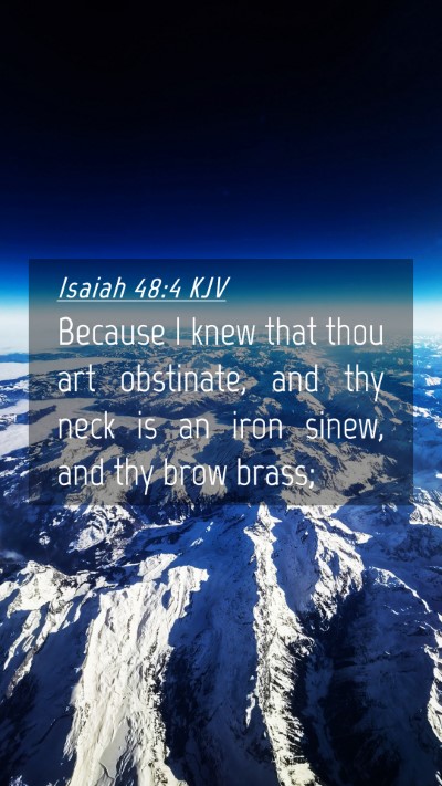 Picture 04 - Isaiah 48:4 KJV Mobile Phone Wallpaper - Because I knew that thou art obstinate, and thy - Mobile Bible Verse Wallpaper