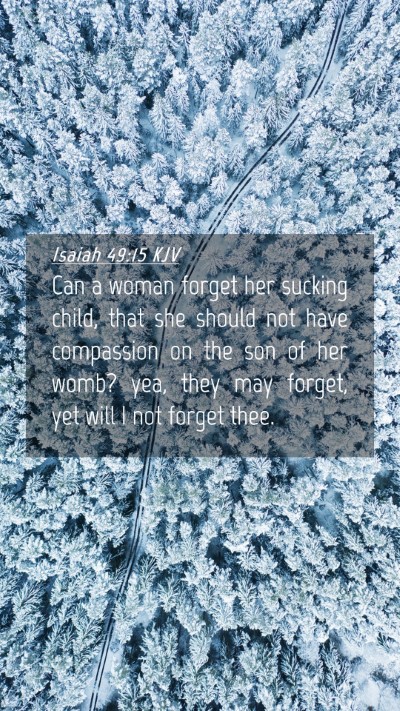Picture 04 - Isaiah 49:15 KJV Mobile Phone Wallpaper - Can a woman forget her sucking child, that she - Mobile Bible Verse Wallpaper