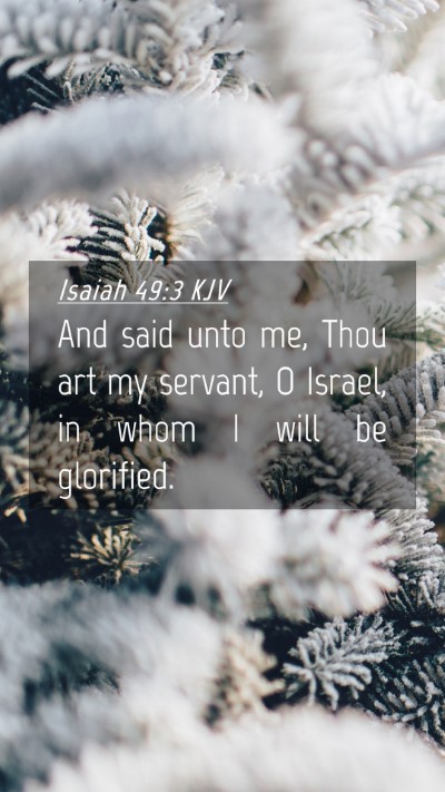 Picture 04 - Isaiah 49:3 KJV Mobile Phone Wallpaper - And said unto me, Thou art my servant, O Israel, - Mobile Bible Verse Wallpaper
