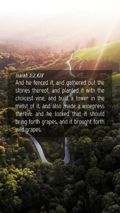 Picture 04 - Isaiah 5:2 KJV Mobile Phone Wallpaper - And he fenced it, and gathered out the stones - Mobile Bible Verse Wallpaper