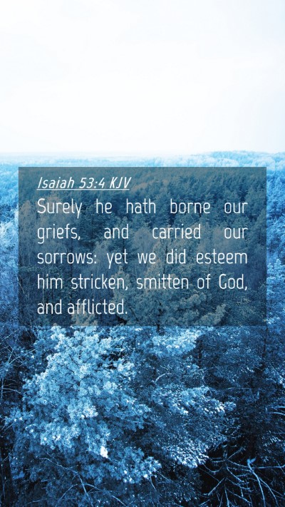 Picture 04 - Isaiah 53:4 KJV Mobile Phone Wallpaper - Surely he hath borne our griefs, and carried our - Mobile Bible Verse Wallpaper