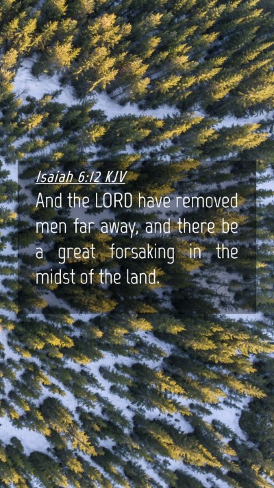 Picture 04 - Isaiah 6:12 KJV Mobile Phone Wallpaper - And the LORD have removed men far away, and there - Mobile Bible Verse Wallpaper