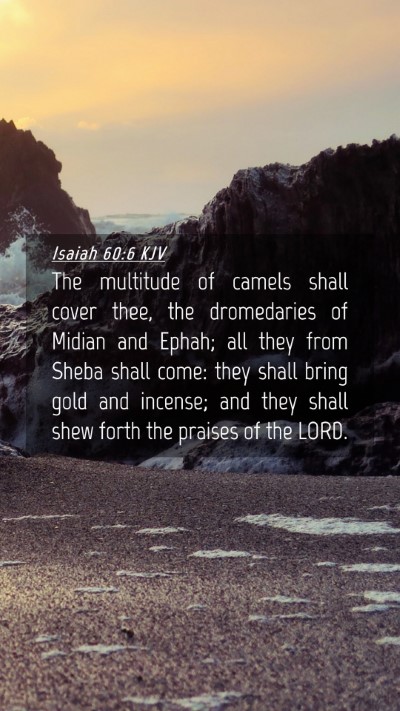 Picture 04 - Isaiah 60:6 KJV Mobile Phone Wallpaper - The multitude of camels shall cover thee, the - Mobile Bible Verse Wallpaper