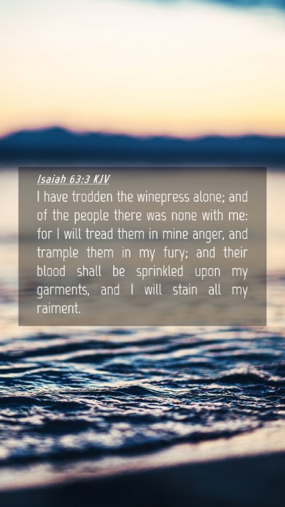 Picture 04 - Isaiah 63:3 KJV Mobile Phone Wallpaper - I have trodden the winepress alone; and of the - Mobile Bible Verse Wallpaper