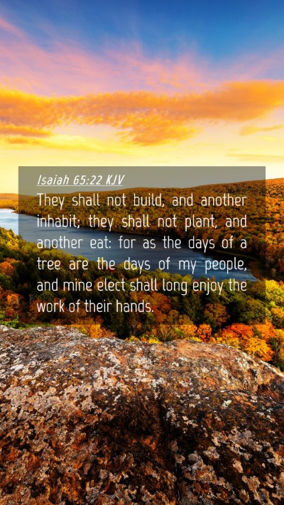 Picture 04 - Isaiah 65:22 KJV Mobile Phone Wallpaper - They shall not build, and another inhabit; they - Mobile Bible Verse Wallpaper