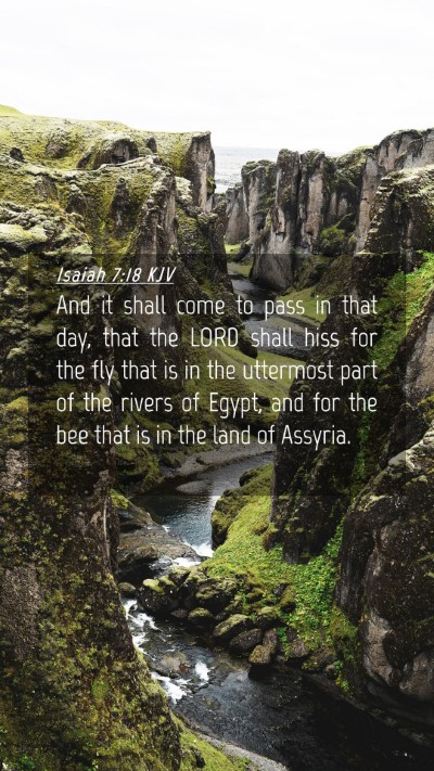 Picture 04 - Isaiah 7:18 KJV Mobile Phone Wallpaper - And it shall come to pass in that day, that the - Mobile Bible Verse Wallpaper