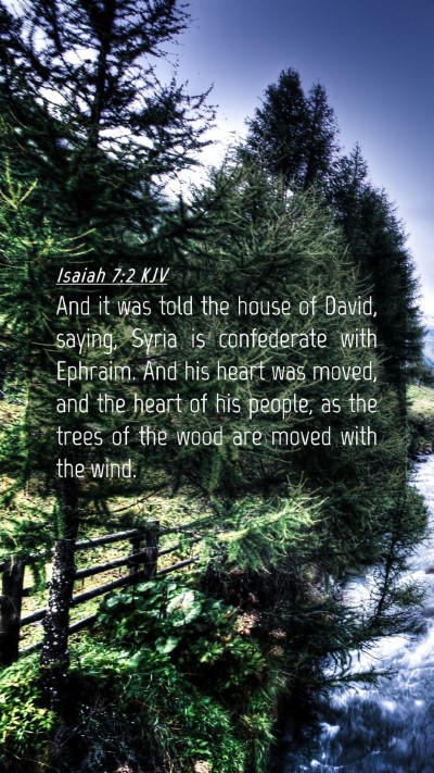 Picture 04 - Isaiah 7:2 KJV Mobile Phone Wallpaper - And it was told the house of David, saying, Syria - Mobile Bible Verse Wallpaper