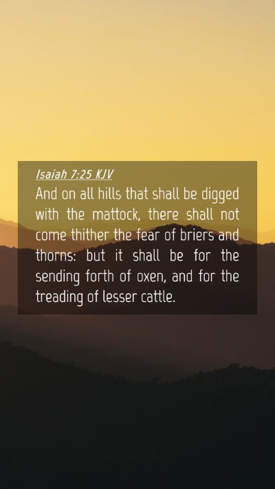 Picture 04 - Isaiah 7:25 KJV Mobile Phone Wallpaper - And on all hills that shall be digged with the - Mobile Bible Verse Wallpaper