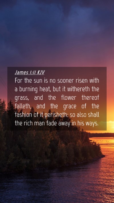 Picture 04 - James 1:11 KJV Mobile Phone Wallpaper - For the sun is no sooner risen with a burning - Mobile Bible Verse Wallpaper
