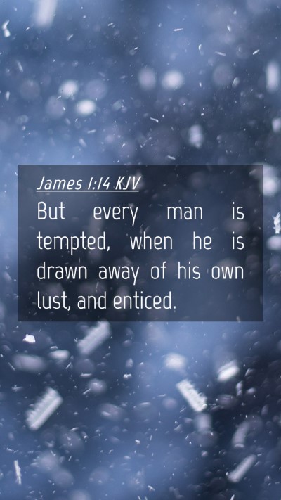 Picture 04 - James 1:14 KJV Mobile Phone Wallpaper - But every man is tempted, when he is drawn away - Mobile Bible Verse Wallpaper