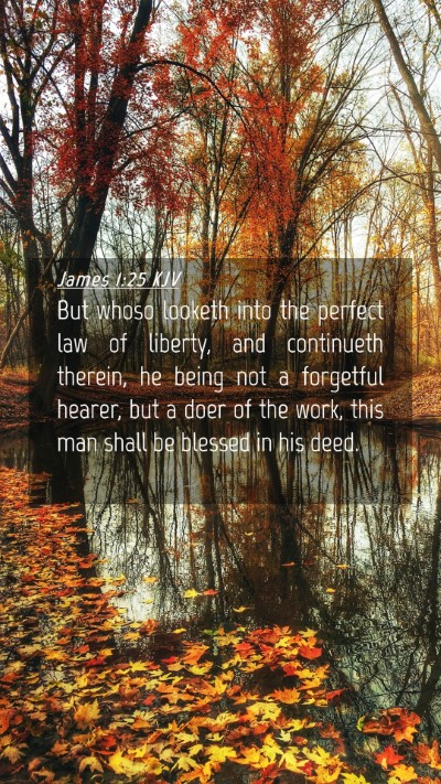 Picture 04 - James 1:25 KJV Mobile Phone Wallpaper - But whoso looketh into the perfect law of - Mobile Bible Verse Wallpaper