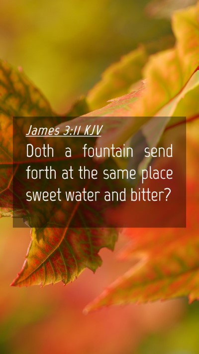 Picture 04 - James 3:11 KJV Mobile Phone Wallpaper - Doth a fountain send forth at the same place - Mobile Bible Verse Wallpaper