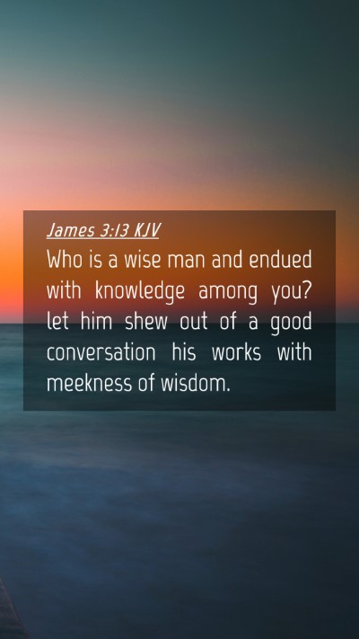 Picture 04 - James 3:13 KJV Mobile Phone Wallpaper - Who is a wise man and endued with knowledge among - Mobile Bible Verse Wallpaper