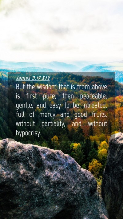 Picture 04 - James 3:17 KJV Mobile Phone Wallpaper - But the wisdom that is from above is first pure, - Mobile Bible Verse Wallpaper