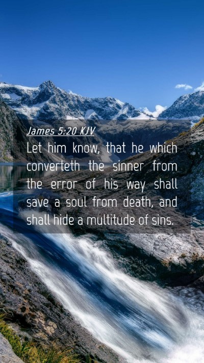 Picture 04 - James 5:20 KJV Mobile Phone Wallpaper - Let him know, that he which converteth the sinner - Mobile Bible Verse Wallpaper