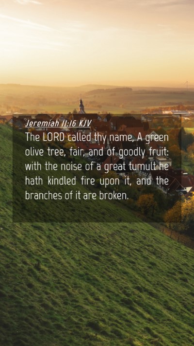 Picture 04 - Jeremiah 11:16 KJV Mobile Phone Wallpaper - The LORD called thy name, A green olive tree, - Mobile Bible Verse Wallpaper