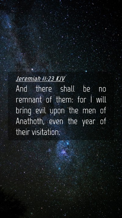 Picture 04 - Jeremiah 11:23 KJV Mobile Phone Wallpaper - And there shall be no remnant of them: for I will - Mobile Bible Verse Wallpaper