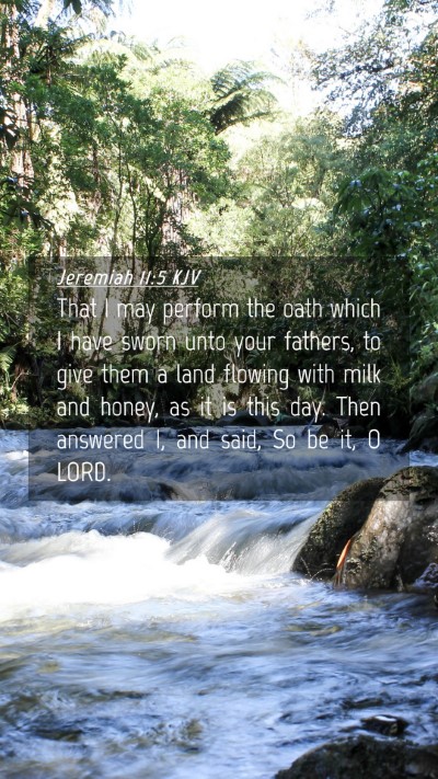Picture 04 - Jeremiah 11:5 KJV Mobile Phone Wallpaper - That I may perform the oath which I have sworn - Mobile Bible Verse Wallpaper