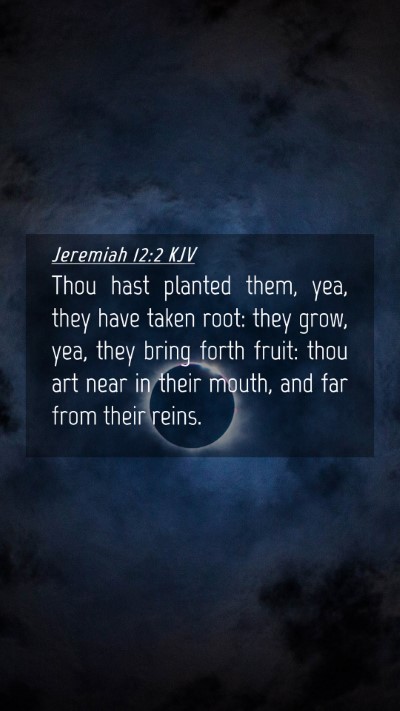 Picture 04 - Jeremiah 12:2 KJV Mobile Phone Wallpaper - Thou hast planted them, yea, they have taken - Mobile Bible Verse Wallpaper