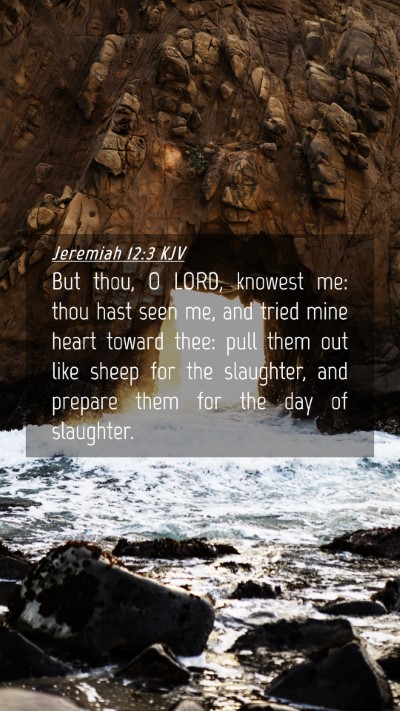 Picture 04 - Jeremiah 12:3 KJV Mobile Phone Wallpaper - But thou, O LORD, knowest me: thou hast seen me, - Mobile Bible Verse Wallpaper