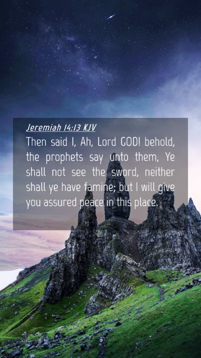 Picture 04 - Jeremiah 14:13 KJV Mobile Phone Wallpaper - Then said I, Ah, Lord GOD! behold, the prophets - Mobile Bible Verse Wallpaper