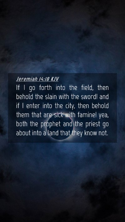 Picture 04 - Jeremiah 14:18 KJV Mobile Phone Wallpaper - If I go forth into the field, then behold the - Mobile Bible Verse Wallpaper