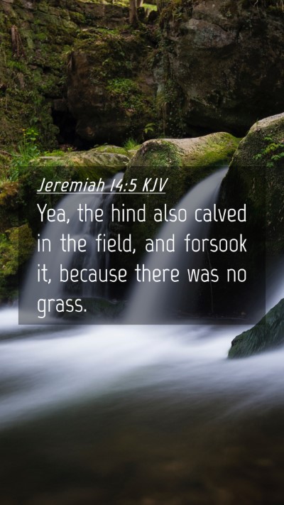 Picture 04 - Jeremiah 14:5 KJV Mobile Phone Wallpaper - Yea, the hind also calved in the field, and - Mobile Bible Verse Wallpaper