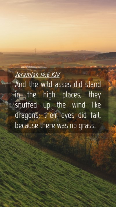 Picture 04 - Jeremiah 14:6 KJV Mobile Phone Wallpaper - And the wild asses did stand in the high places, - Mobile Bible Verse Wallpaper