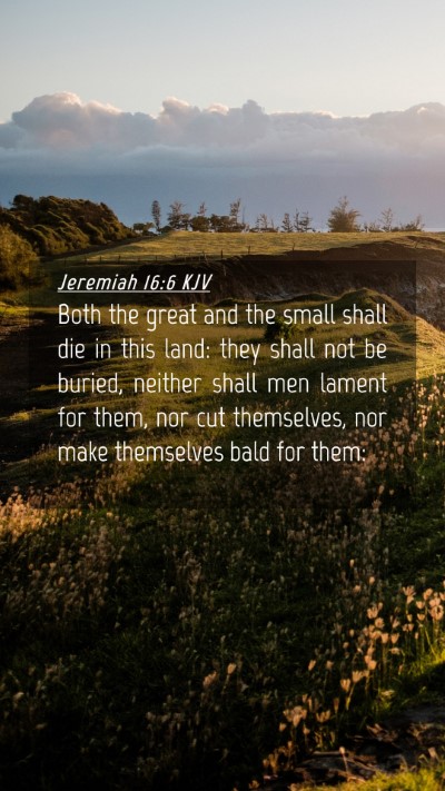 Picture 04 - Jeremiah 16:6 KJV Mobile Phone Wallpaper - Both the great and the small shall die in this - Mobile Bible Verse Wallpaper