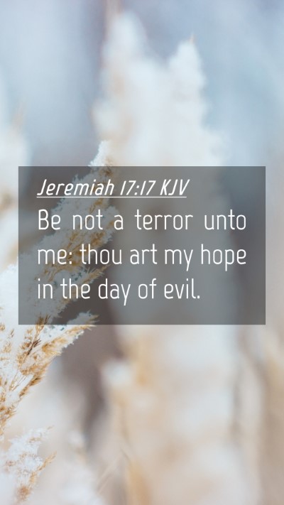 Picture 04 - Jeremiah 17:17 KJV Mobile Phone Wallpaper - Be not a terror unto me: thou art my hope in the - Mobile Bible Verse Wallpaper