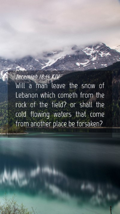 Picture 04 - Jeremiah 18:14 KJV Mobile Phone Wallpaper - Will a man leave the snow of Lebanon which cometh - Mobile Bible Verse Wallpaper