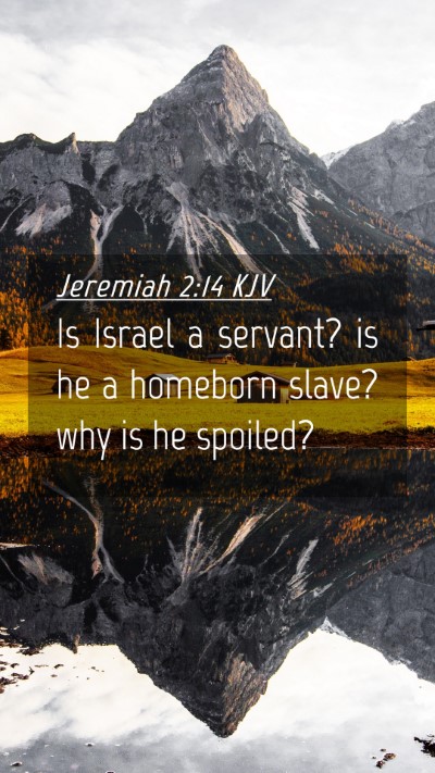 Picture 04 - Jeremiah 2:14 KJV Mobile Phone Wallpaper - Is Israel a servant? is he a homeborn slave? why - Mobile Bible Verse Wallpaper
