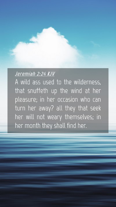 Picture 04 - Jeremiah 2:24 KJV Mobile Phone Wallpaper - A wild ass used to the wilderness, that snuffeth - Mobile Bible Verse Wallpaper