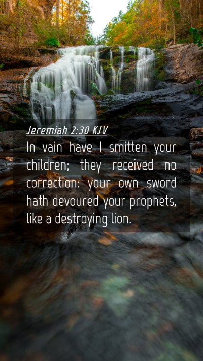 Picture 04 - Jeremiah 2:30 KJV Mobile Phone Wallpaper - In vain have I smitten your children; they - Mobile Bible Verse Wallpaper