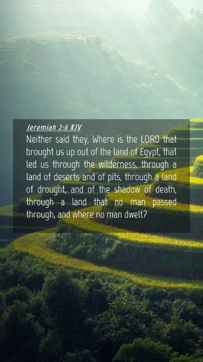 Picture 04 - Jeremiah 2:6 KJV Mobile Phone Wallpaper - Neither said they, Where is the LORD that brought - Mobile Bible Verse Wallpaper