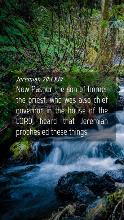 Picture 04 - Jeremiah 20:1 KJV Mobile Phone Wallpaper - Now Pashur the son of Immer the priest, who was - Mobile Bible Verse Wallpaper