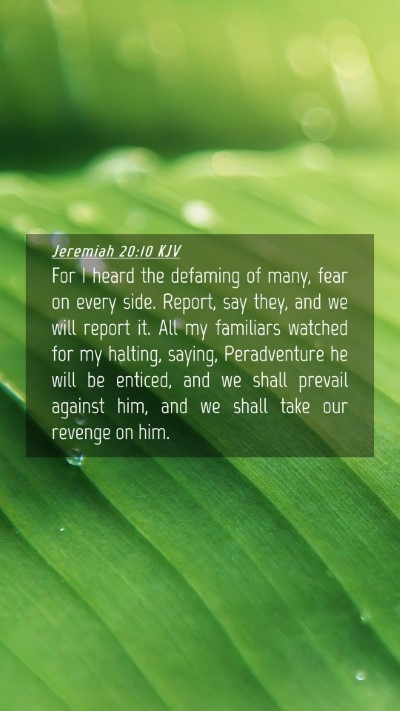 Picture 04 - Jeremiah 20:10 KJV Mobile Phone Wallpaper - For I heard the defaming of many, fear on every - Mobile Bible Verse Wallpaper