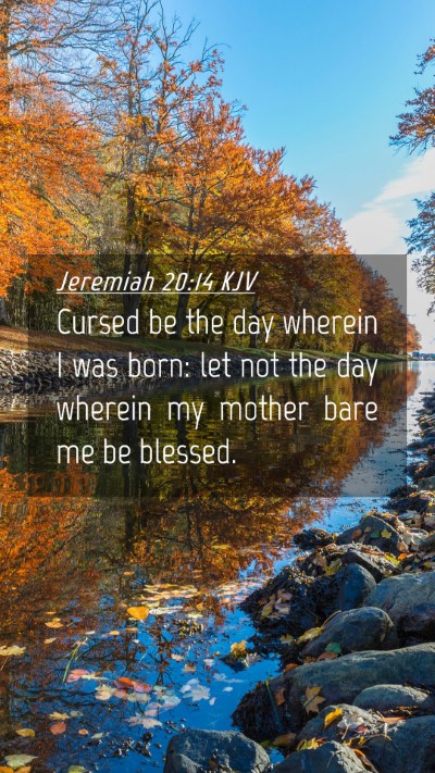 Picture 04 - Jeremiah 20:14 KJV Mobile Phone Wallpaper - Cursed be the day wherein I was born: let not the - Mobile Bible Verse Wallpaper