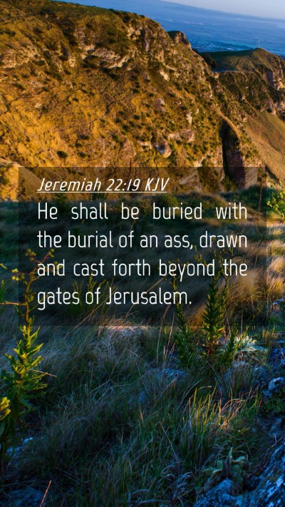 Picture 04 - Jeremiah 22:19 KJV Mobile Phone Wallpaper - He shall be buried with the burial of an ass, - Mobile Bible Verse Wallpaper