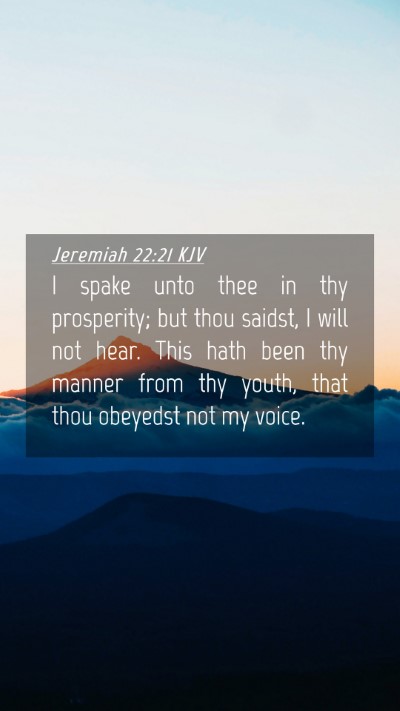 Picture 04 - Jeremiah 22:21 KJV Mobile Phone Wallpaper - I spake unto thee in thy prosperity; but thou - Mobile Bible Verse Wallpaper